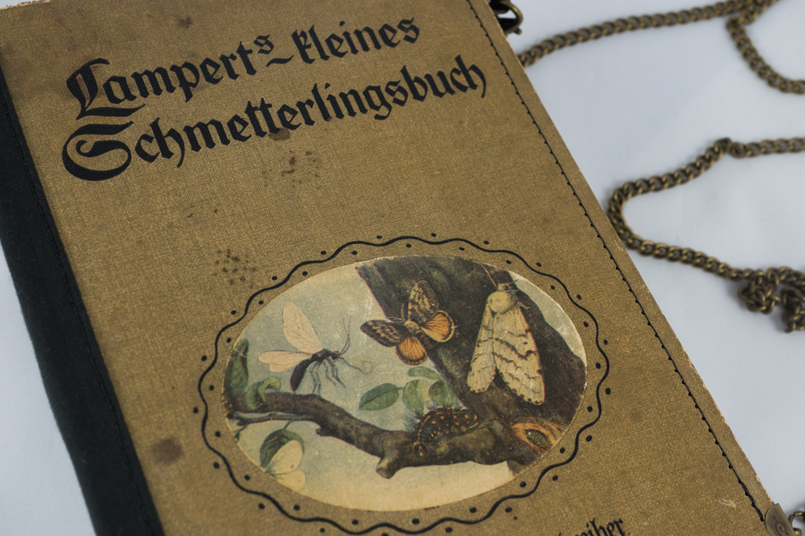 Kleines Schmetterlingsbuch Image